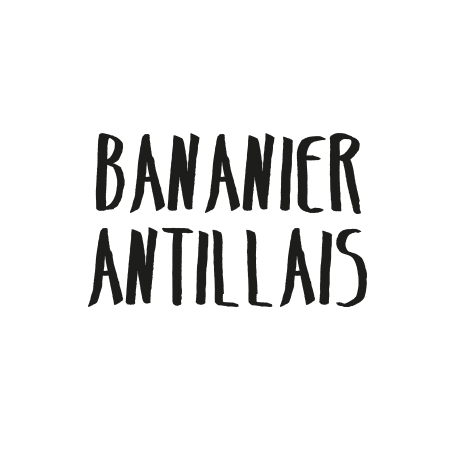 Bananier Antillais